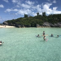 Bermuda Reef Explorer Turtle Cove Glass Bottom Snorkelling Adventures