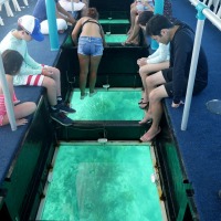 Bermuda Reef Explorer Turtle Cove Glass Bottom Snorkelling Adventures