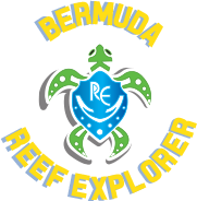 Bermuda Reef Explorer